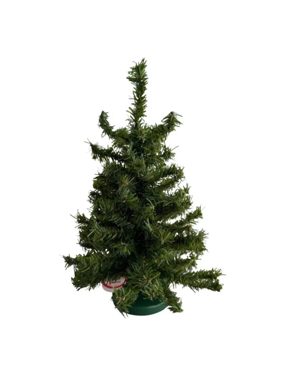 Ribbon Narrow tree new